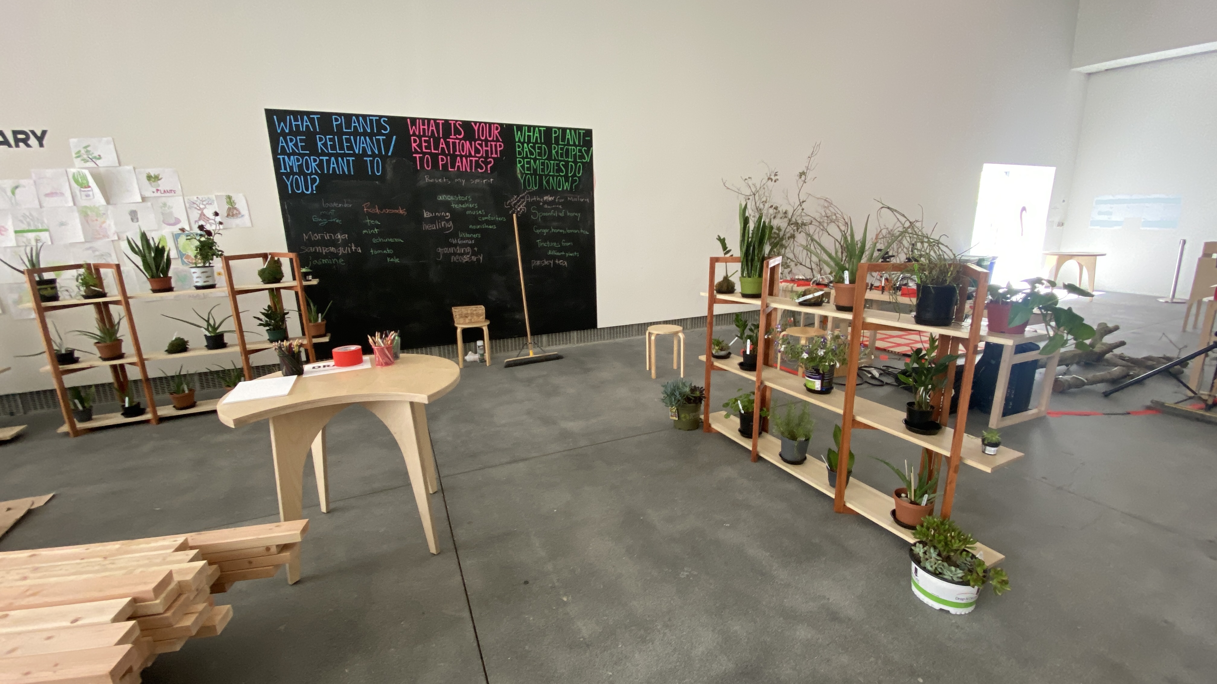 The Plant Library installation with plants, shelves, a table, and a community chalkboard